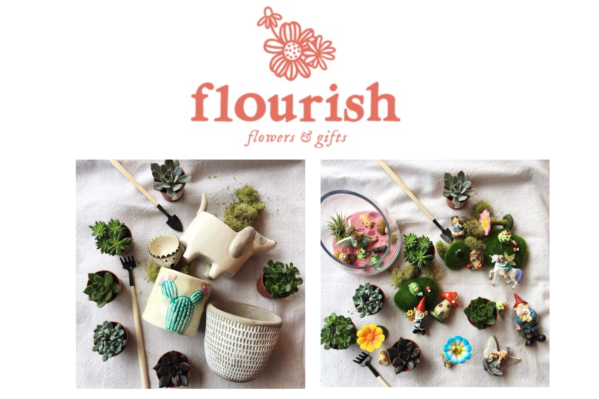 Build Your Own Succulent Bar at Flourish Flower and Gifts